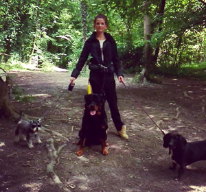 Laura Regan - Dog Walking - High Wycombe