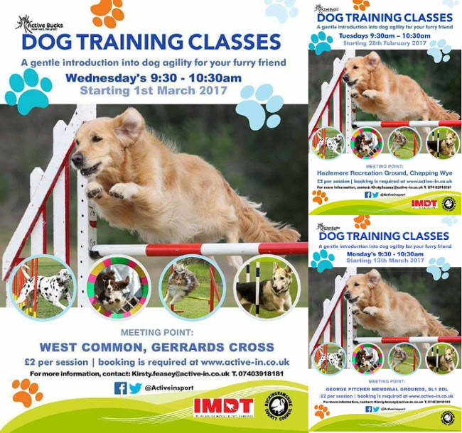 IMDT_dog_agility_classes_2017